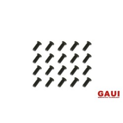 GAUI 821605