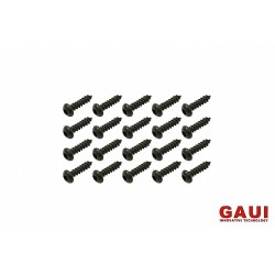 GAUI 821608