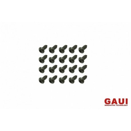 GAUI 842004