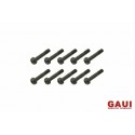 GAUI 842009