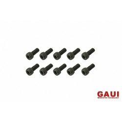 GAUI 842034