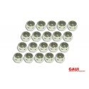 GAUI 810003 (N3*5.5L)