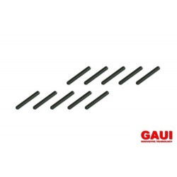 GAUI 842033