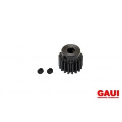 GAUI 901701 (17T)