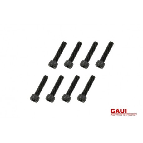 GAUI 842024